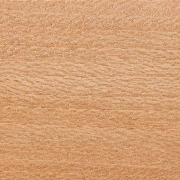 Sycamore Wood Turning Stock