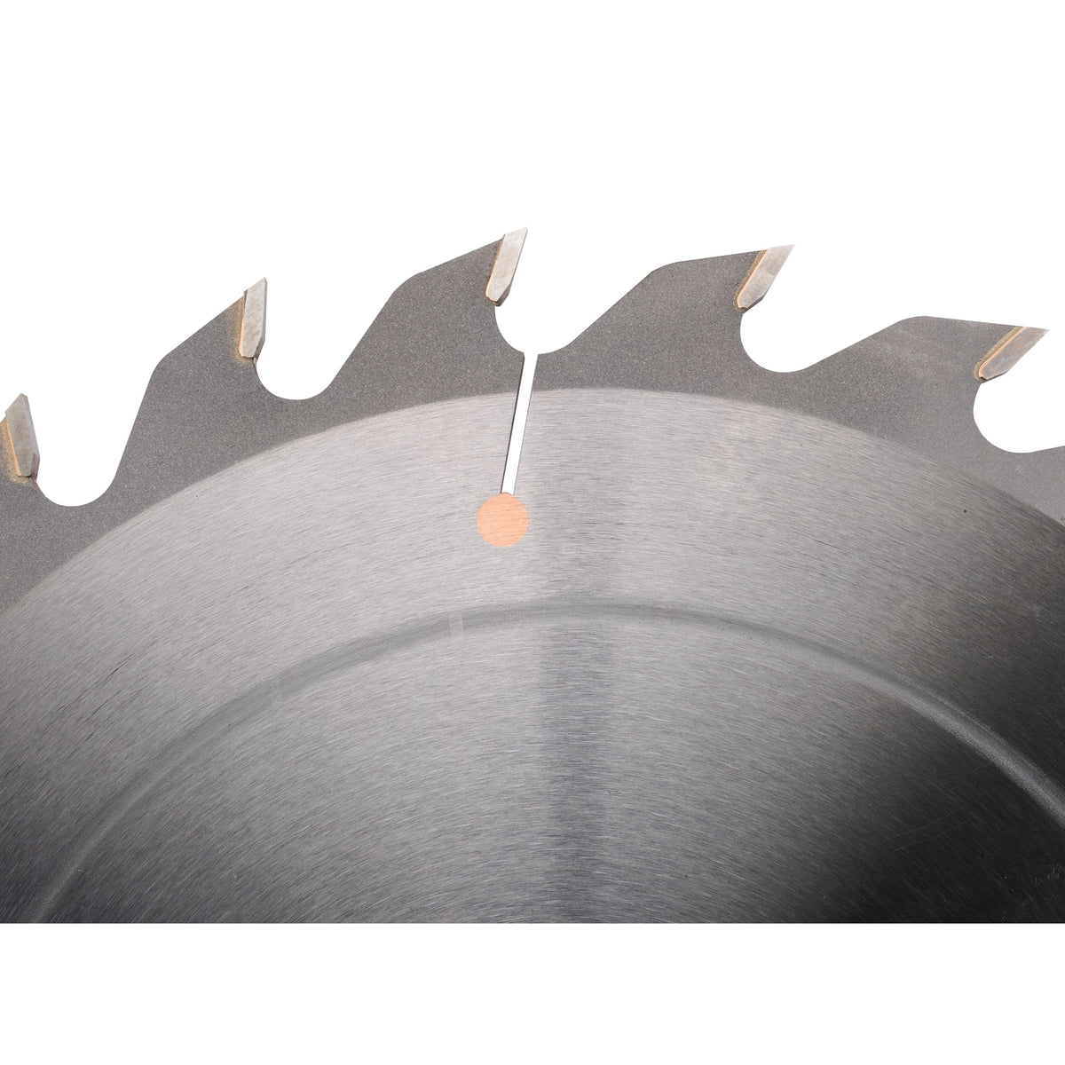 Heavy-Duty Rip Saw Blade - 10" x 5/8" Bore x 24T - FTG