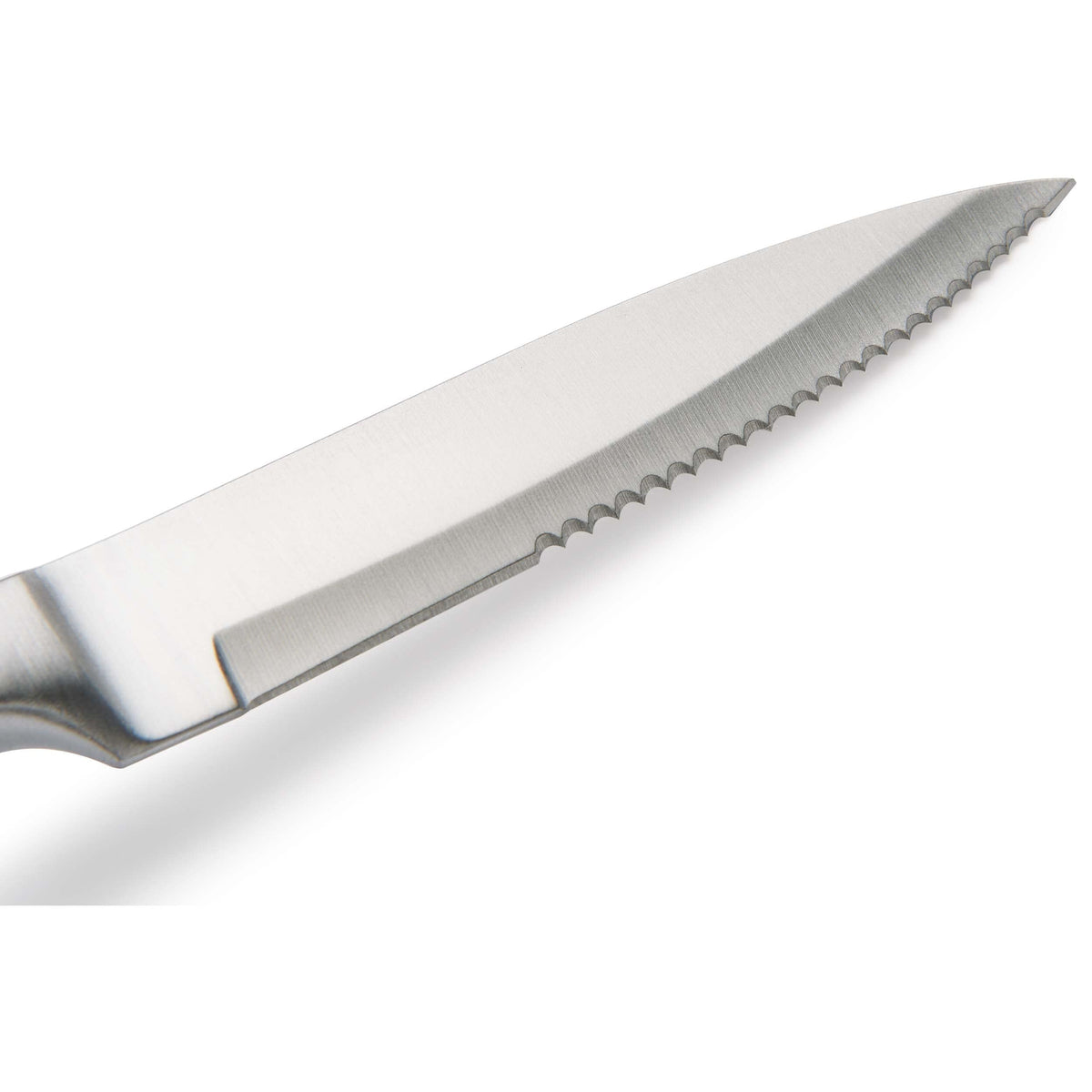 Steak Knife Set for Cutting Steak and Other Meats - 9-3/16" - SS - Unfinished Kit - 6 Piece