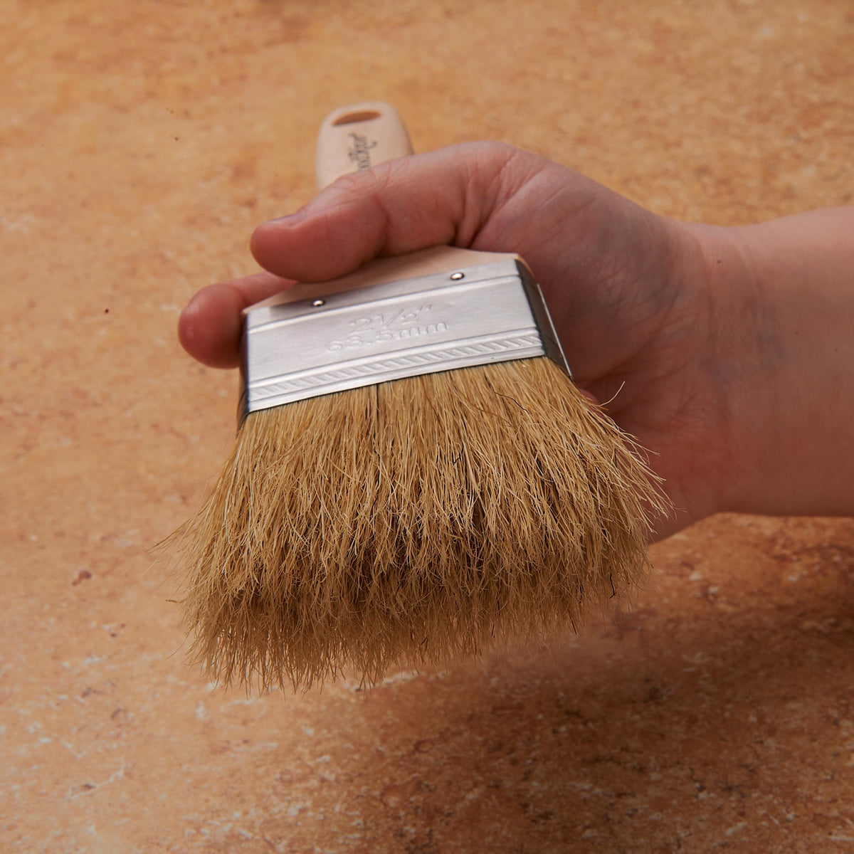 Paint Brush Sets - 6 Piece