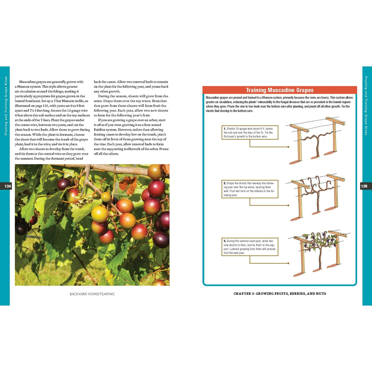 Backyard Homesteading, Second Revised Edition