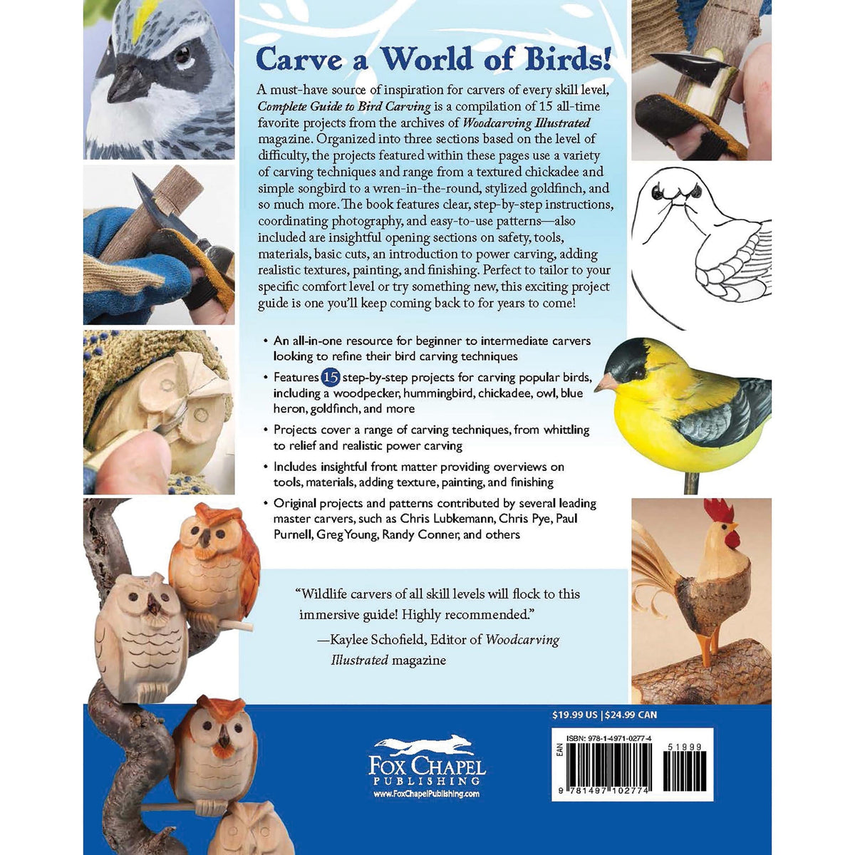 Complete Guide to Bird Carving - 15 Projects