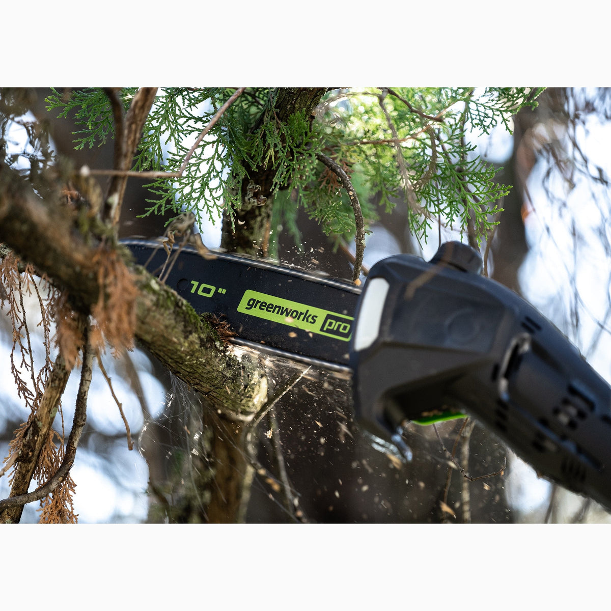 Gen II 10" Brushless Polesaw with 2.0Ah Battery and 4A Rapid Charger