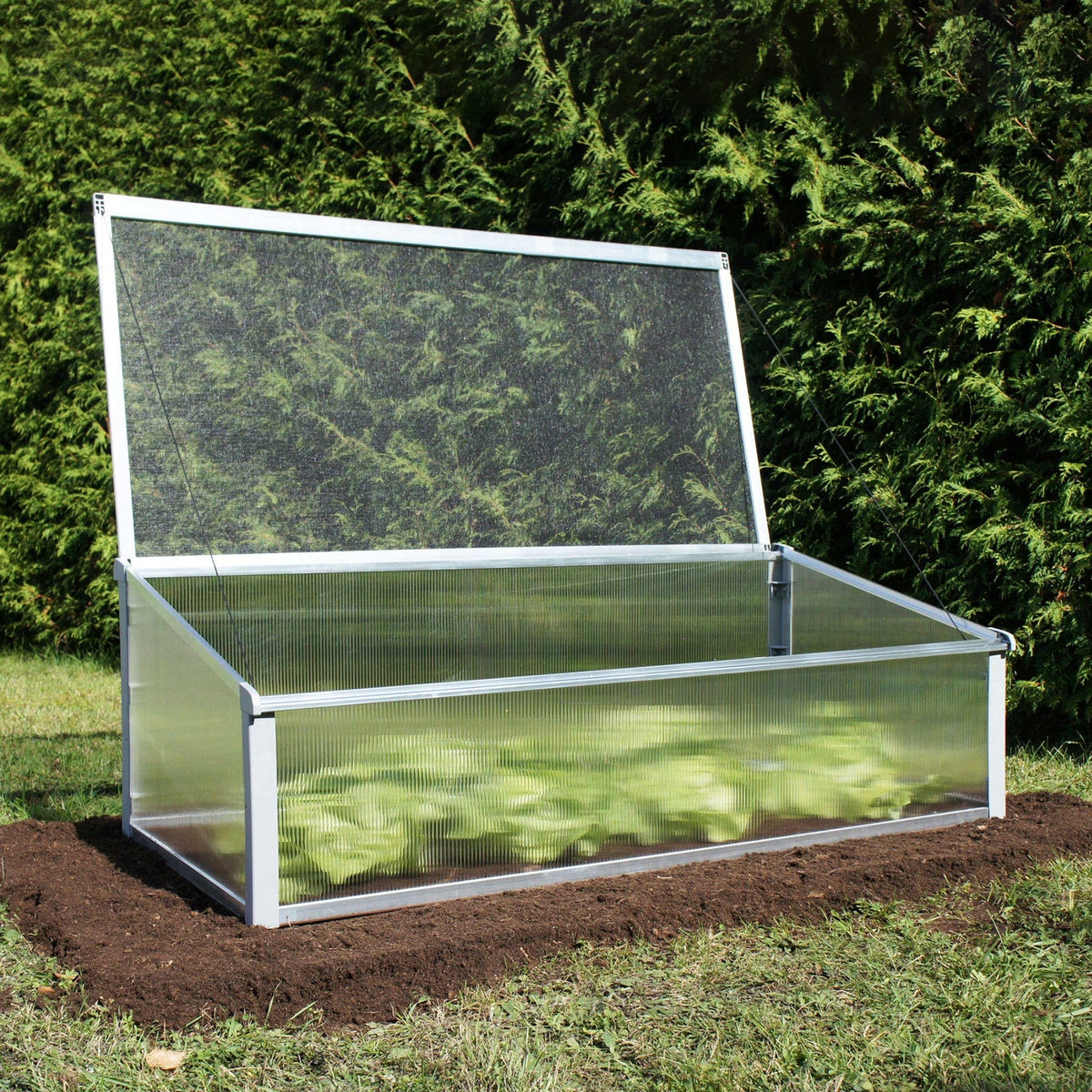 Year-Round Cold-Frame