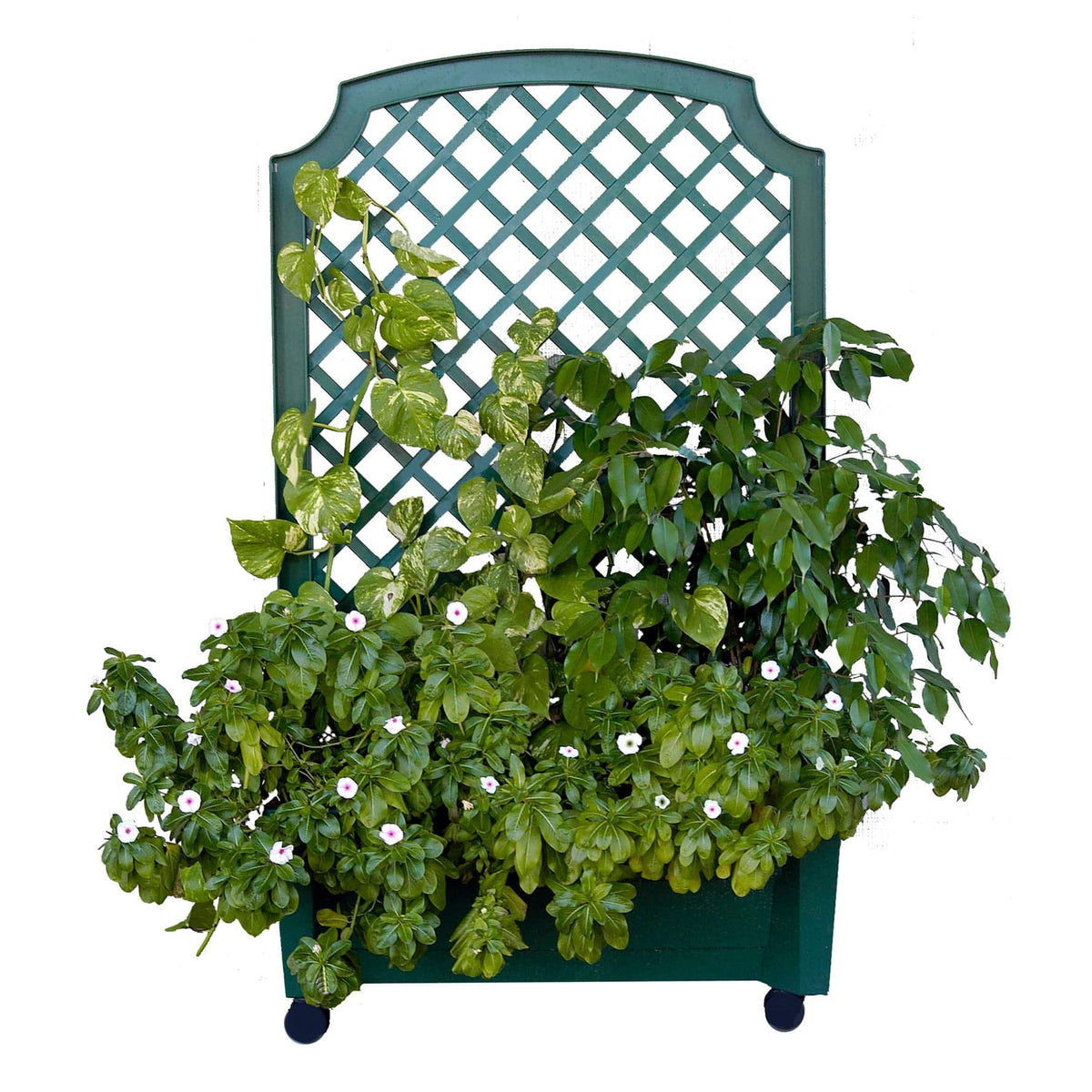 Calypso Planter Trellis Green