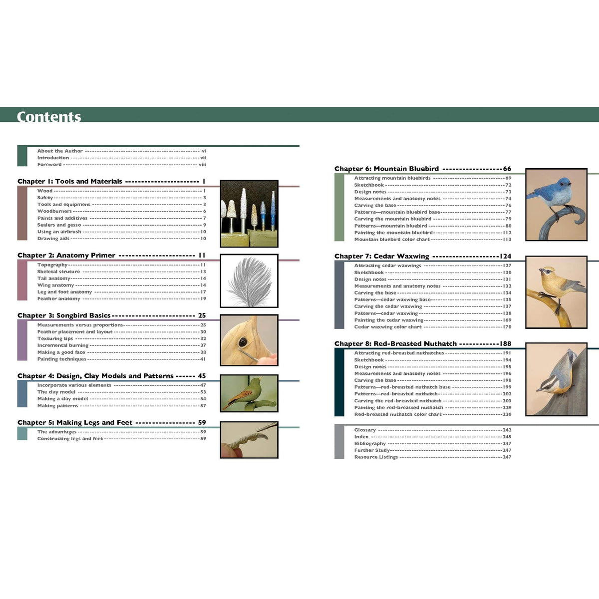 Carving Award-Winning Songbirds
