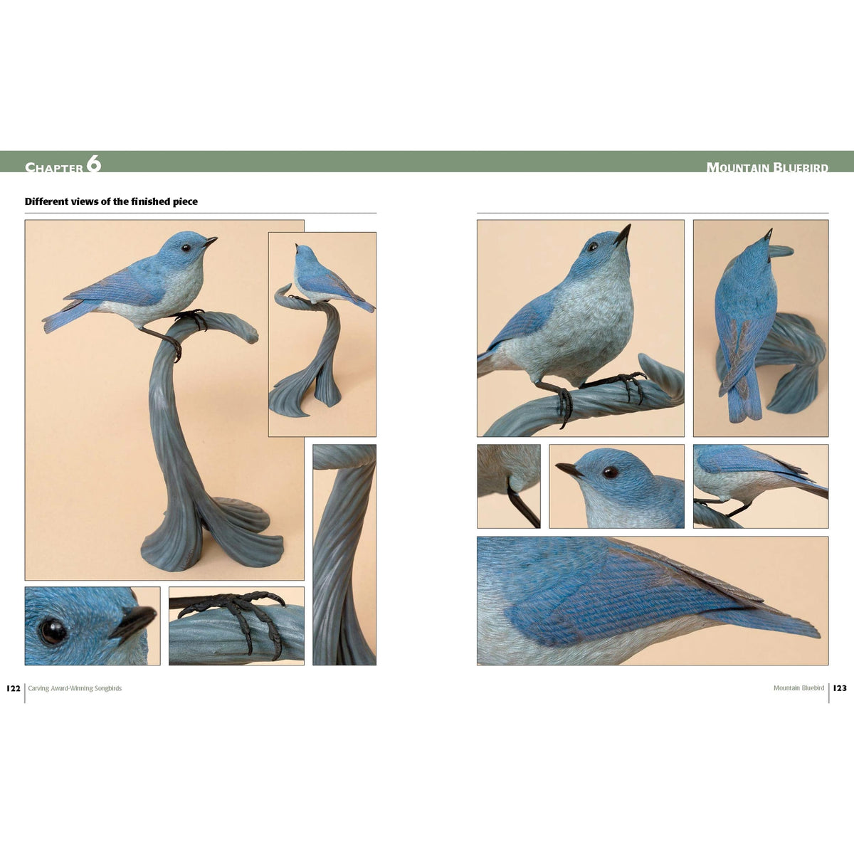 Carving Award-Winning Songbirds