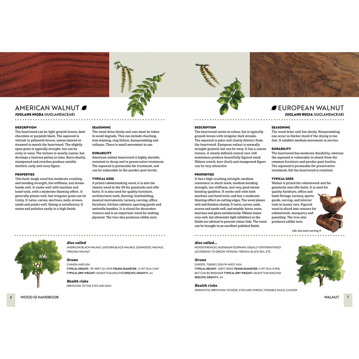 Wood ID Handbook