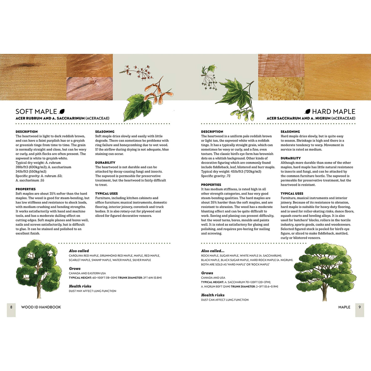 Wood ID Handbook