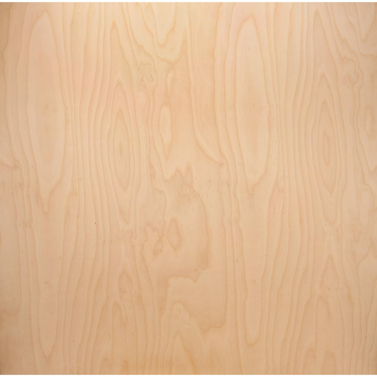 American Birch Plywood