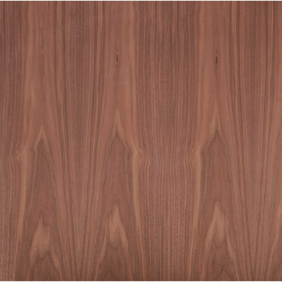 Walnut Plywood