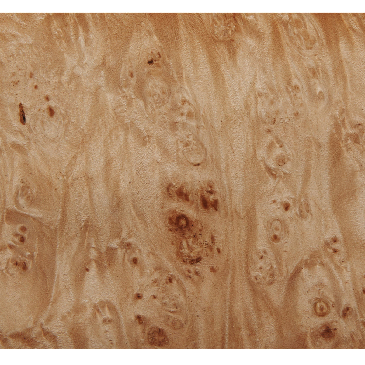 Burl Wood Veneer Sheet - 4' x 8'