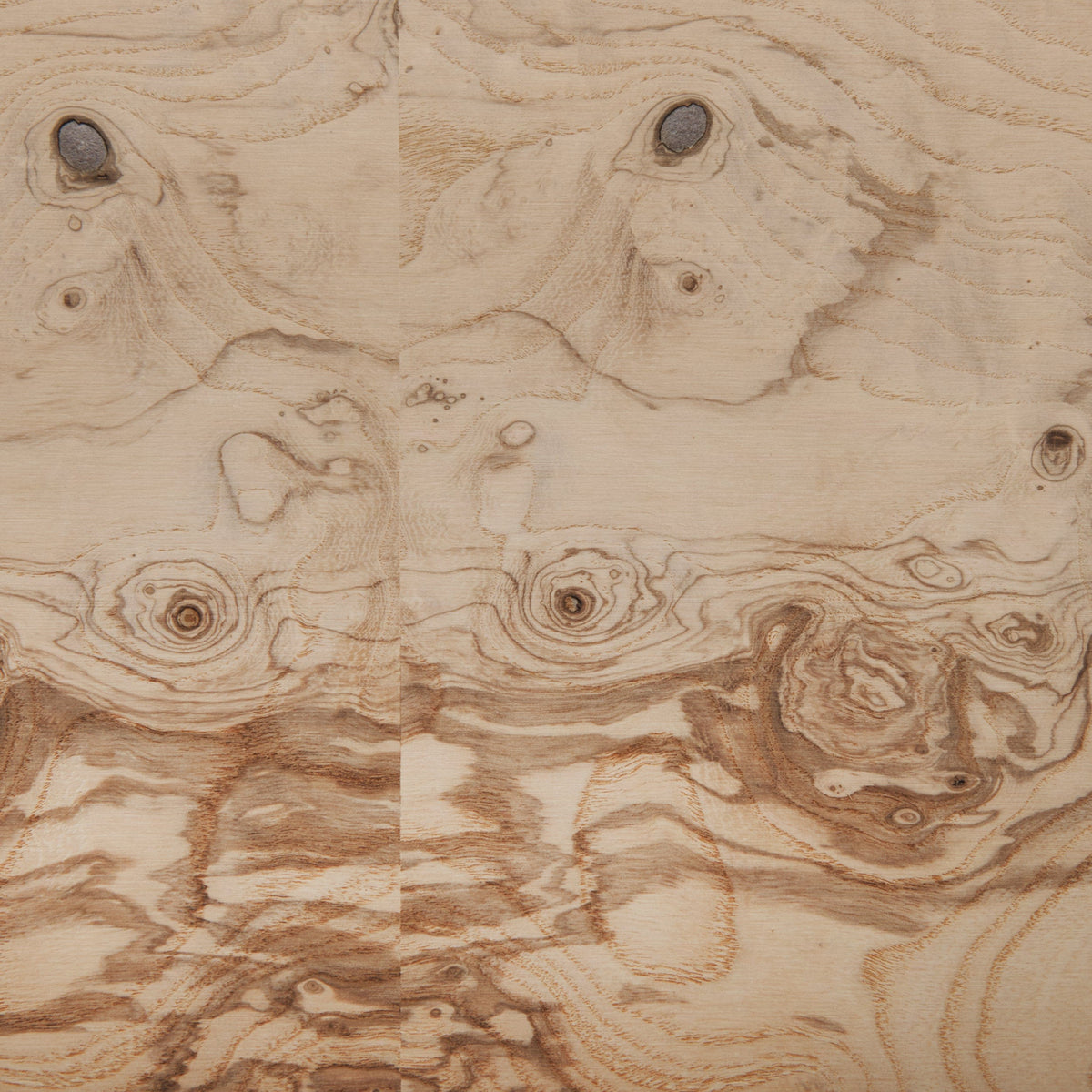 Burl Wood Veneer Sheet - 4' x 8'