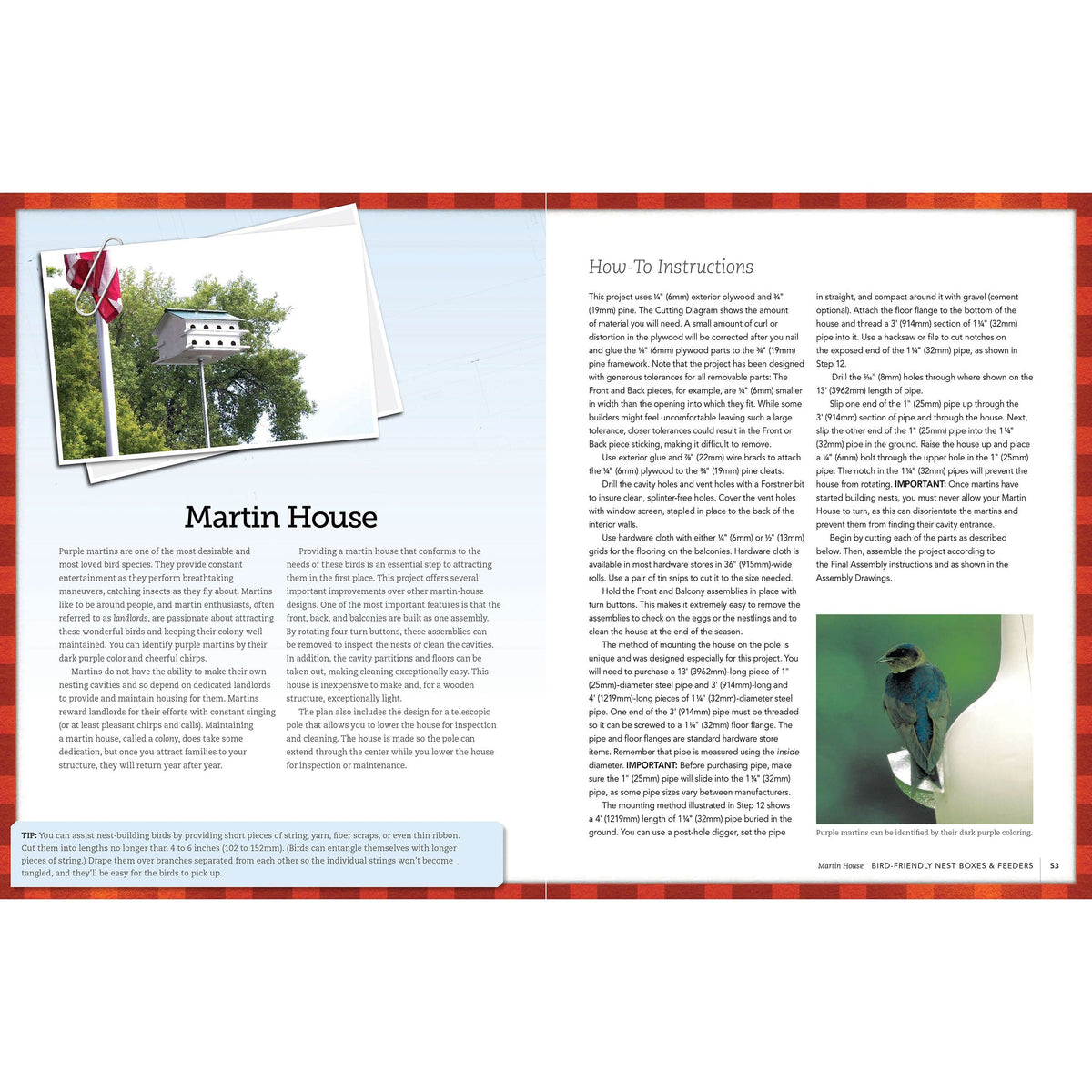 Bird-Friendly Nest Boxes and Feeders