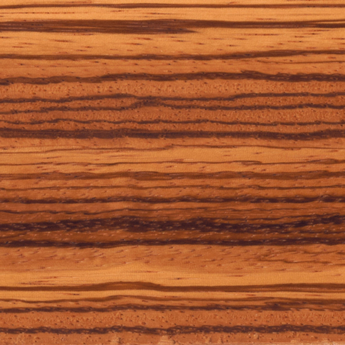 Zebrawood Wood Turning Stock
