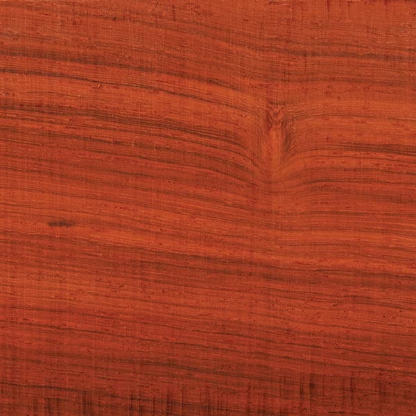 Padauk Wood Turning Stock