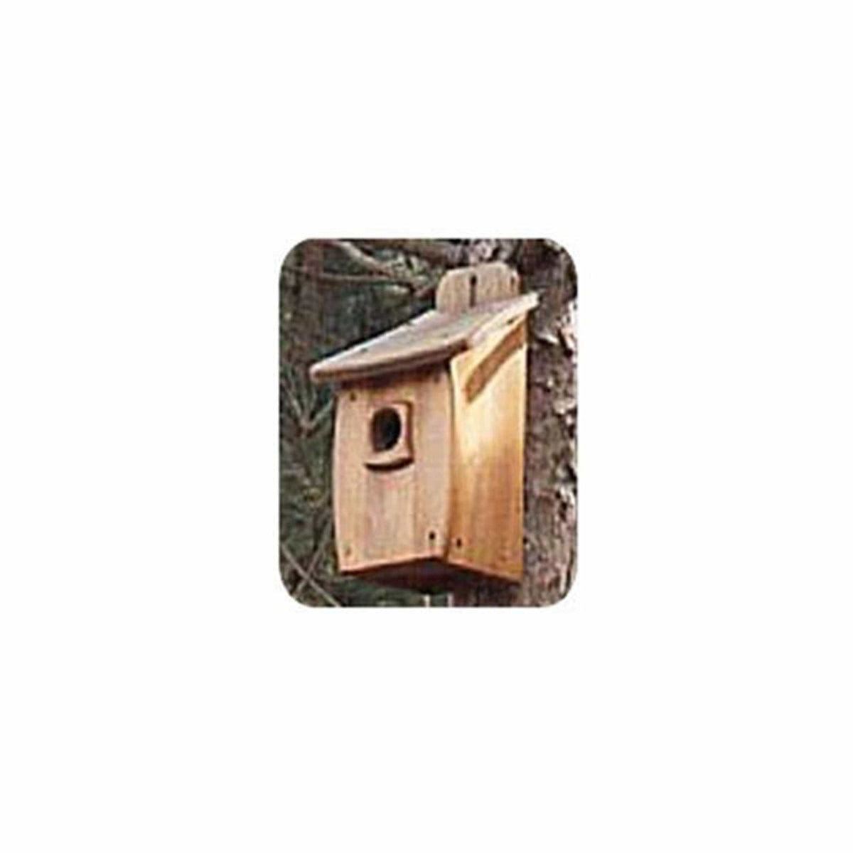 Woodworking Project Paper Plan to Build Extra Large Birdhouse