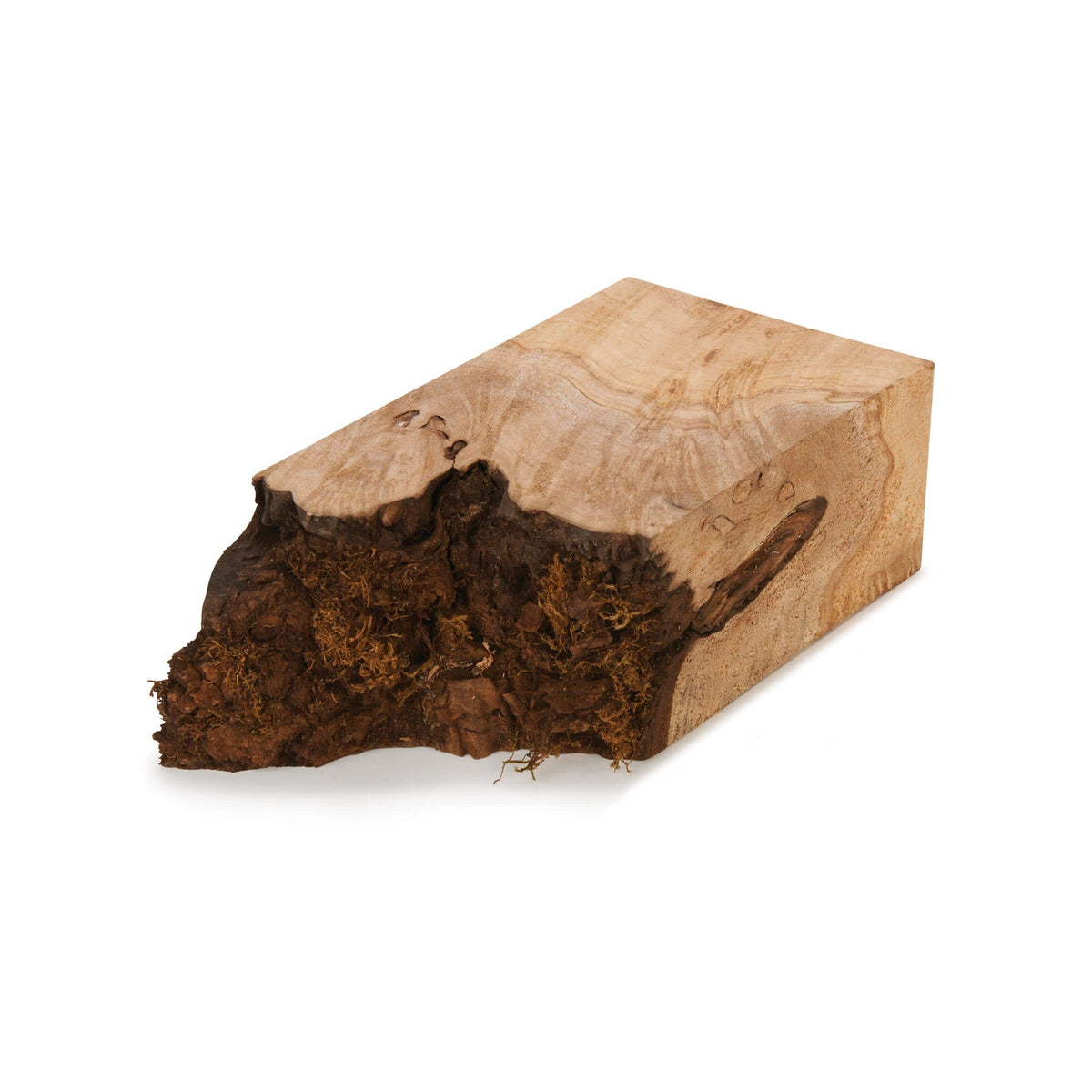 Big Leaf Maple Burl Wood Turning Stock