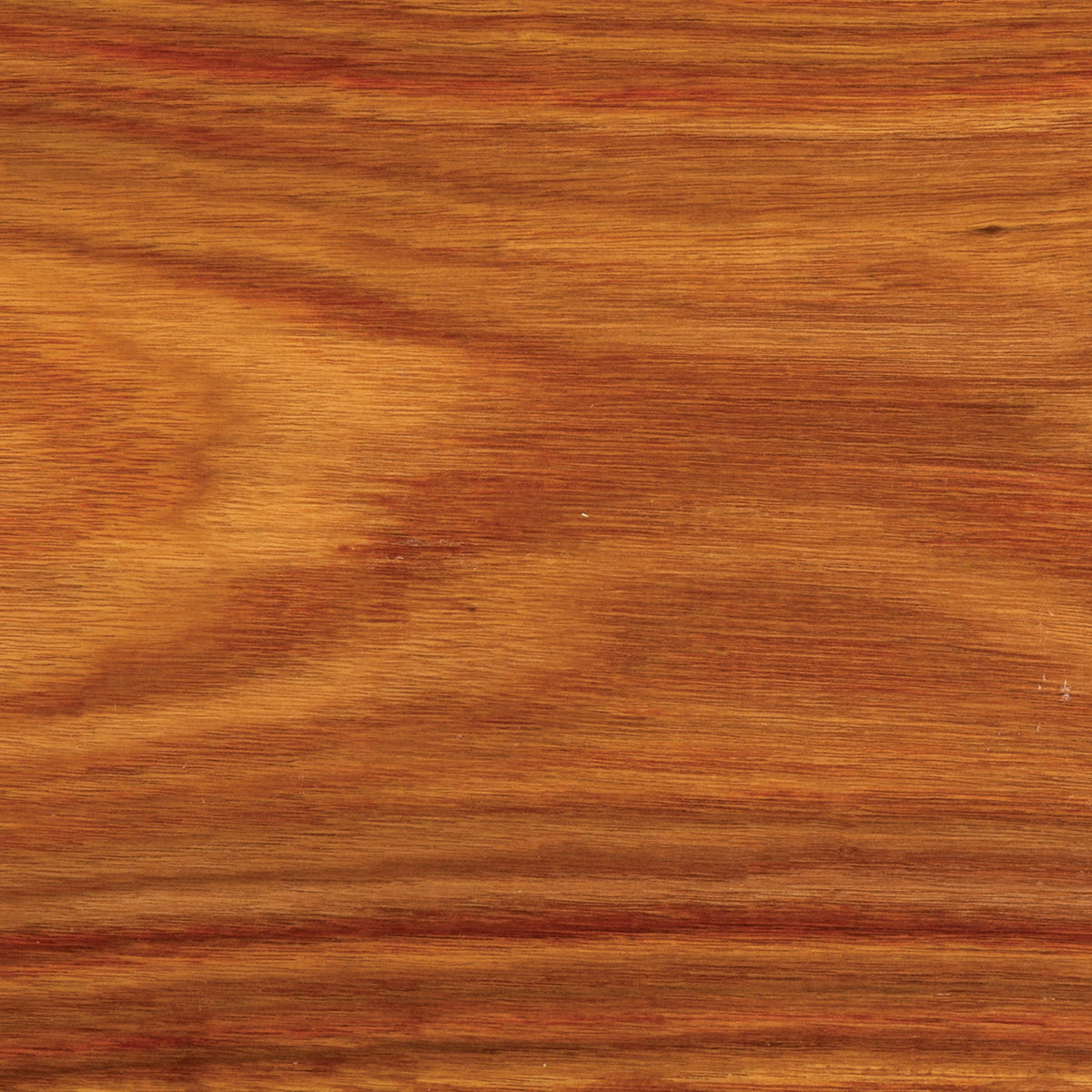 Canarywood Wood Turning Stock