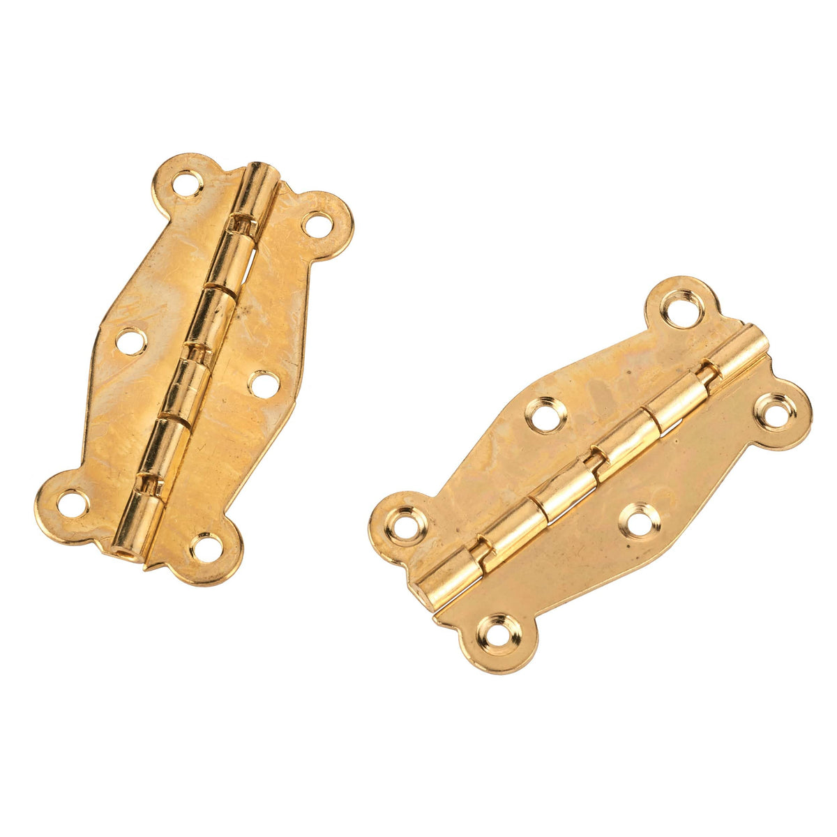 Decorative Box Hinge with Screws - Pair