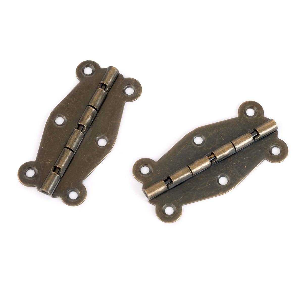 Decorative Box Hinge with Screws - Pair