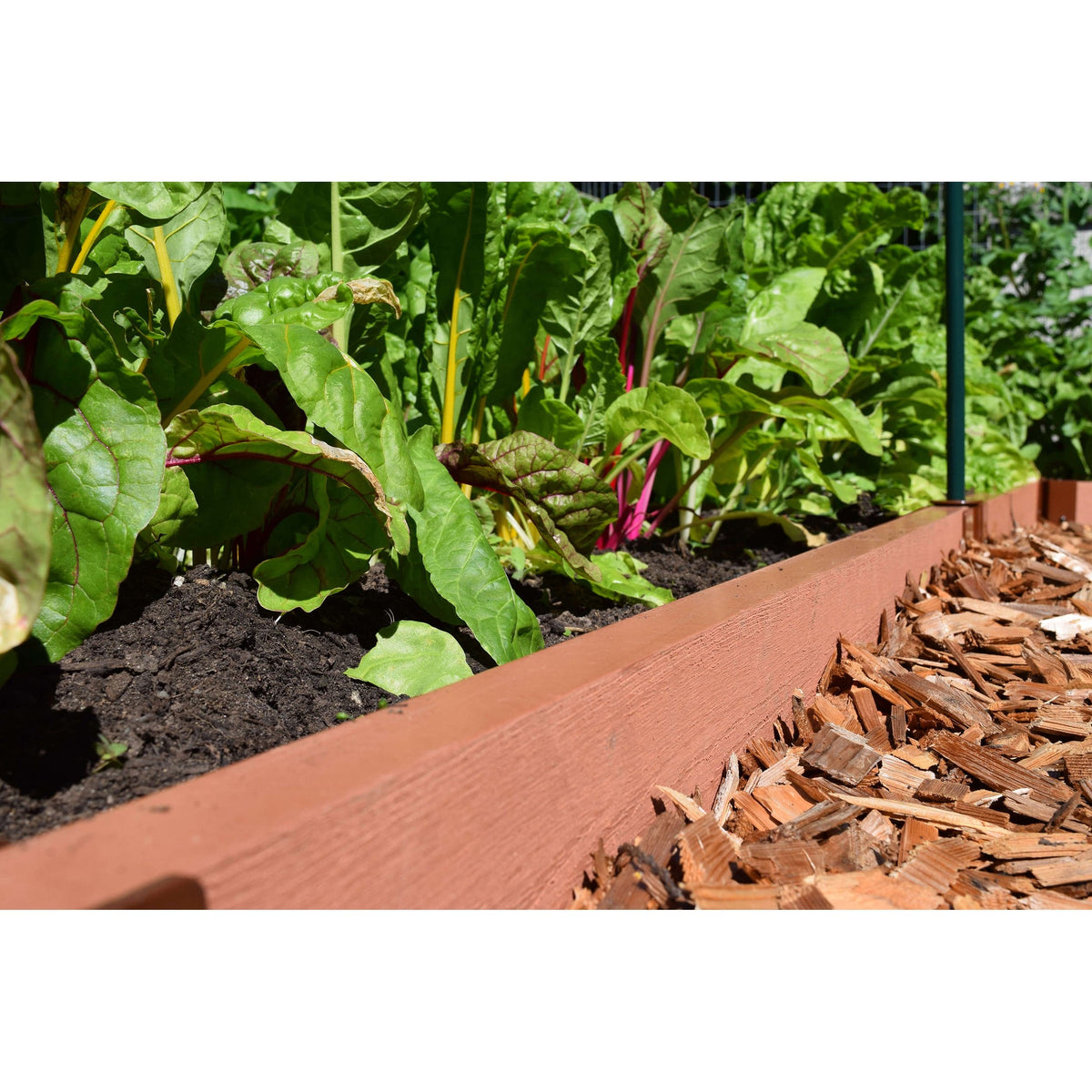 Classic Sienna Straight Landscape Edging Kit 16' - 2" profile