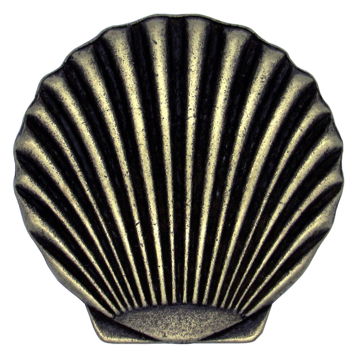 Scallop Seashell Knob, Brass Oxide