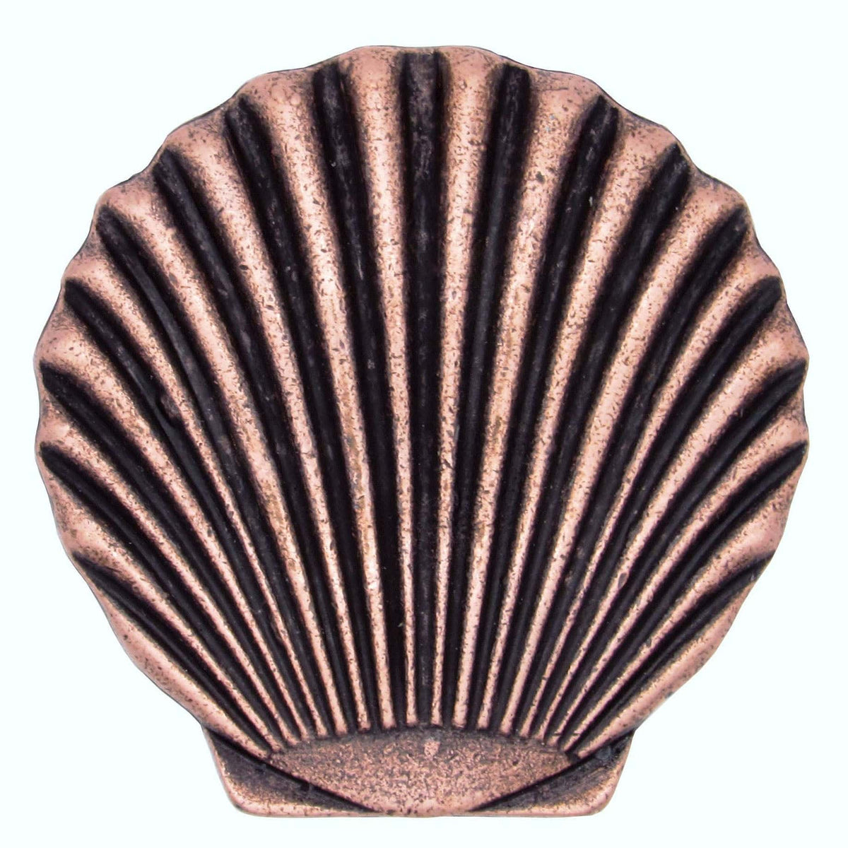 Scallop Seashell Knob, Copper Oxide