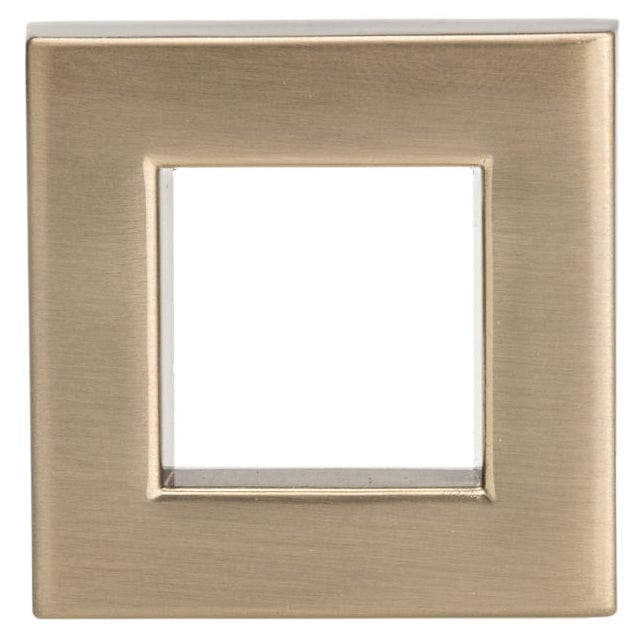 Transitional Knob, 1-21/32" x 1-21/32", Champagne Bronze