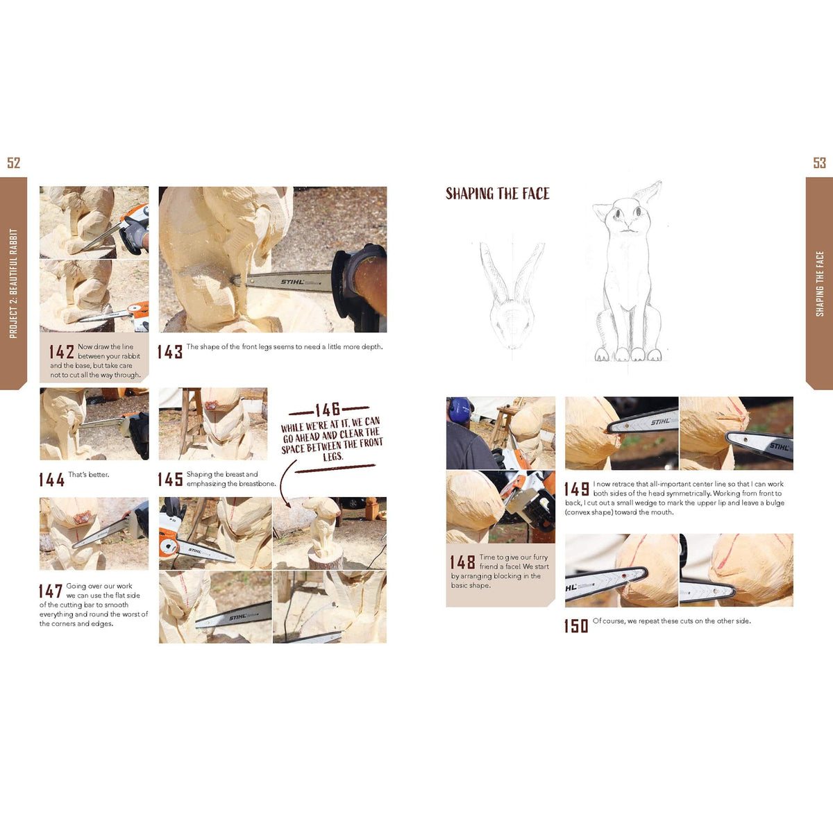 Chainsaw Carving for Beginnners