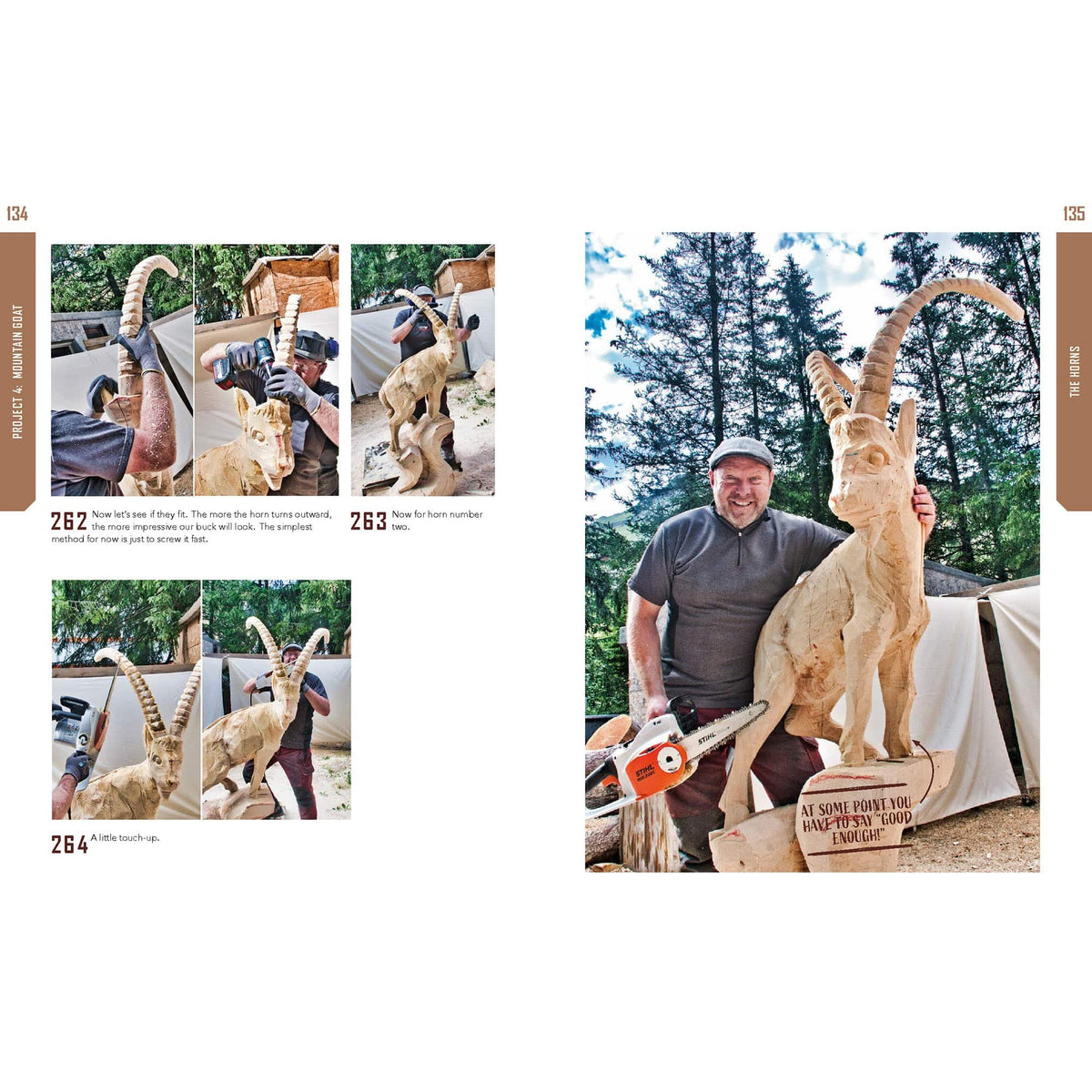 Chainsaw Carving for Beginnners