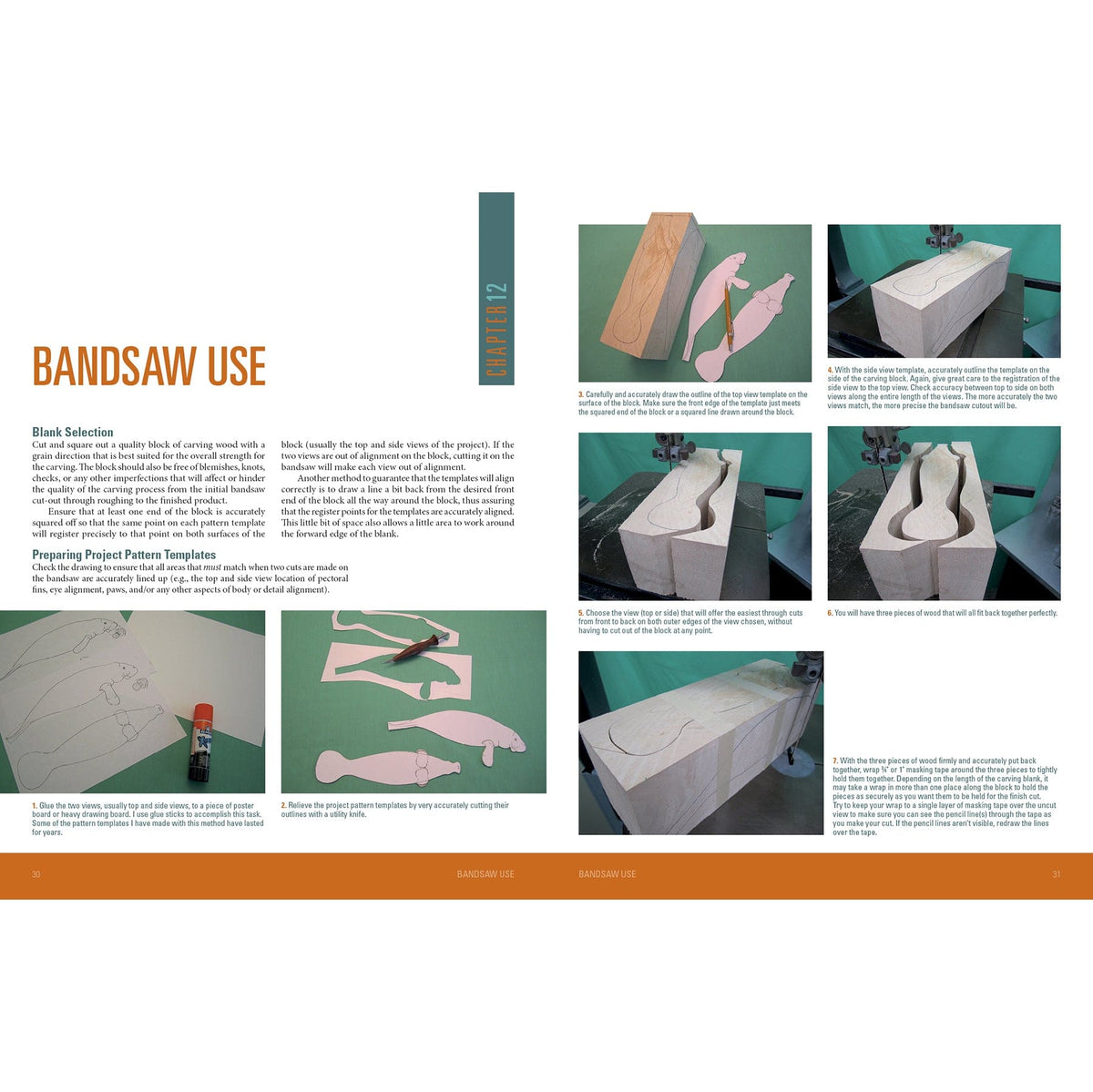 Carving Marine Mammals