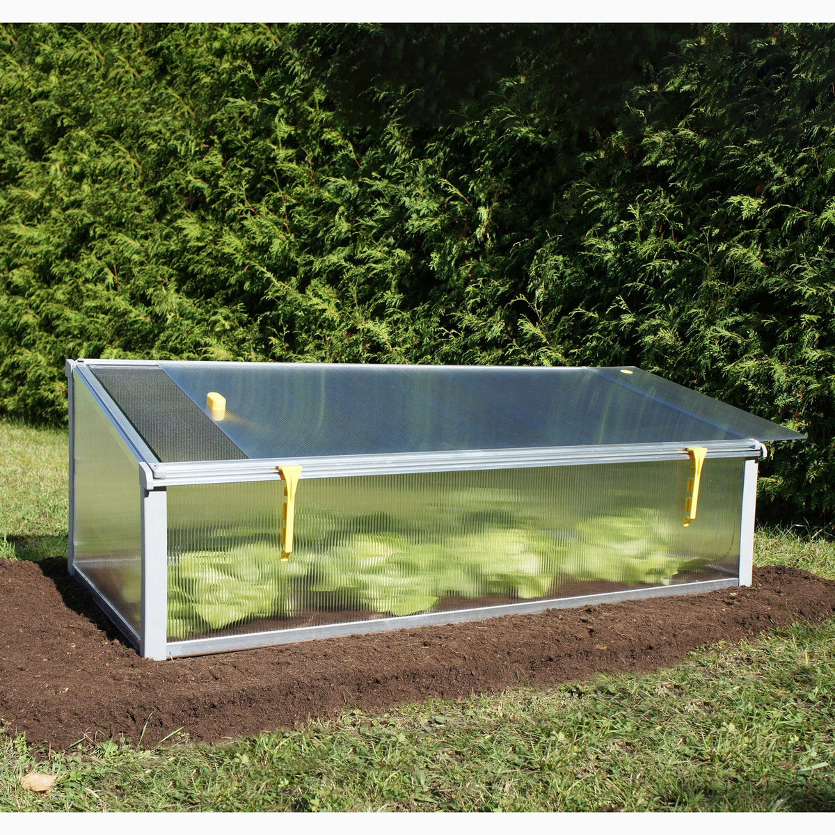 Year-Round Cold-Frame