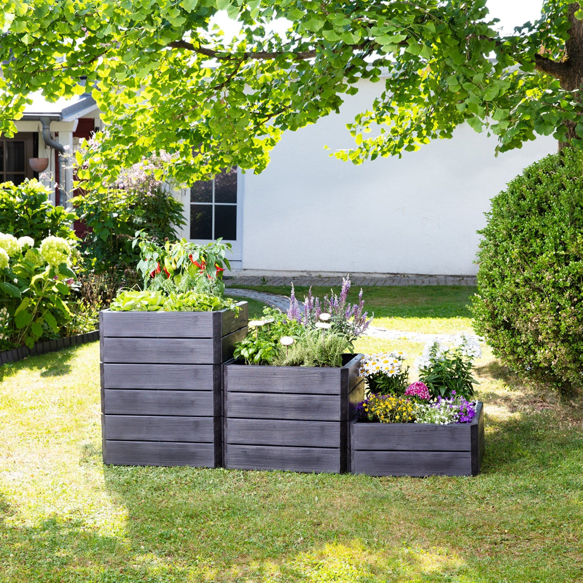 ERGO Raised Bed Square Small