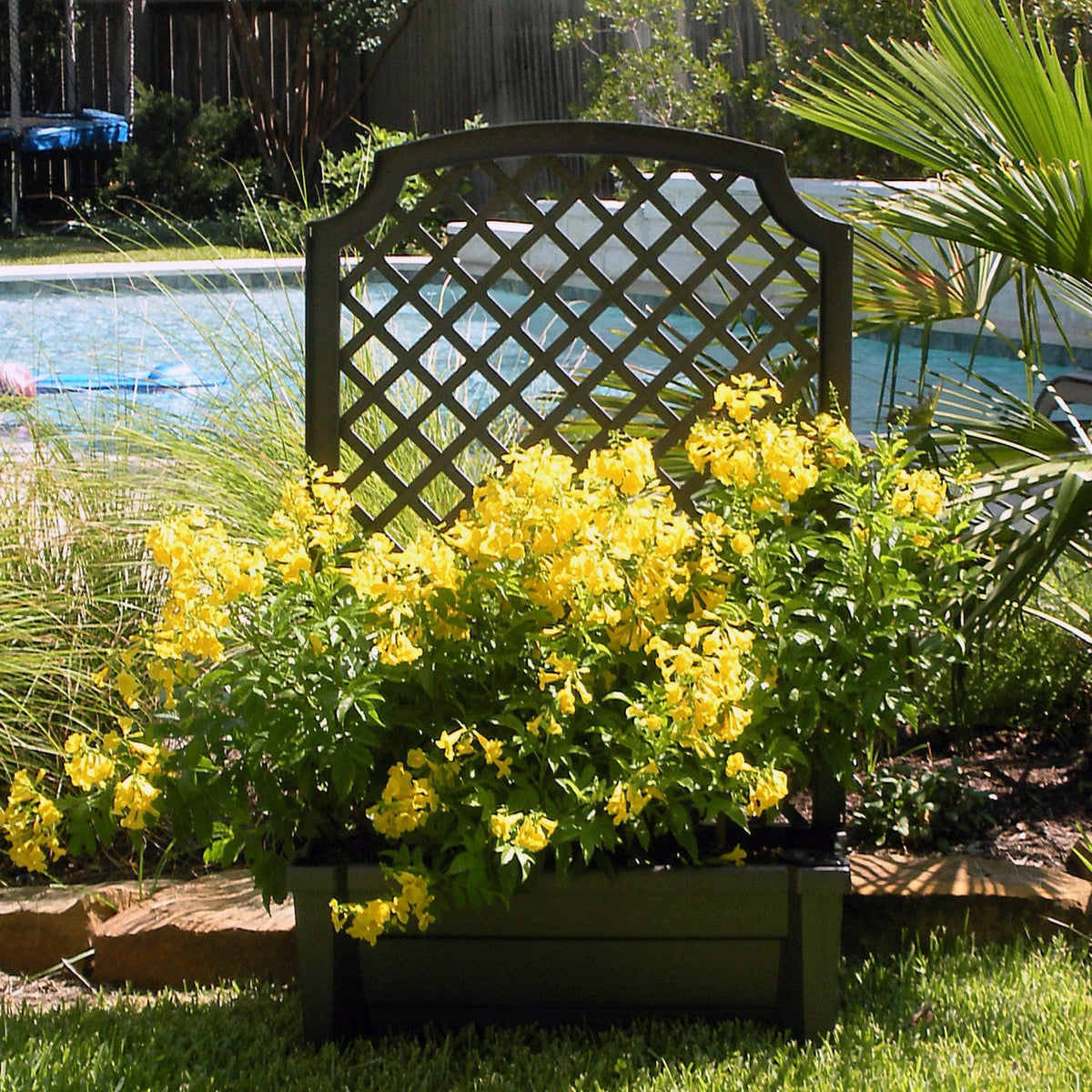 Calypso Planter Trellis Anthracite Gray