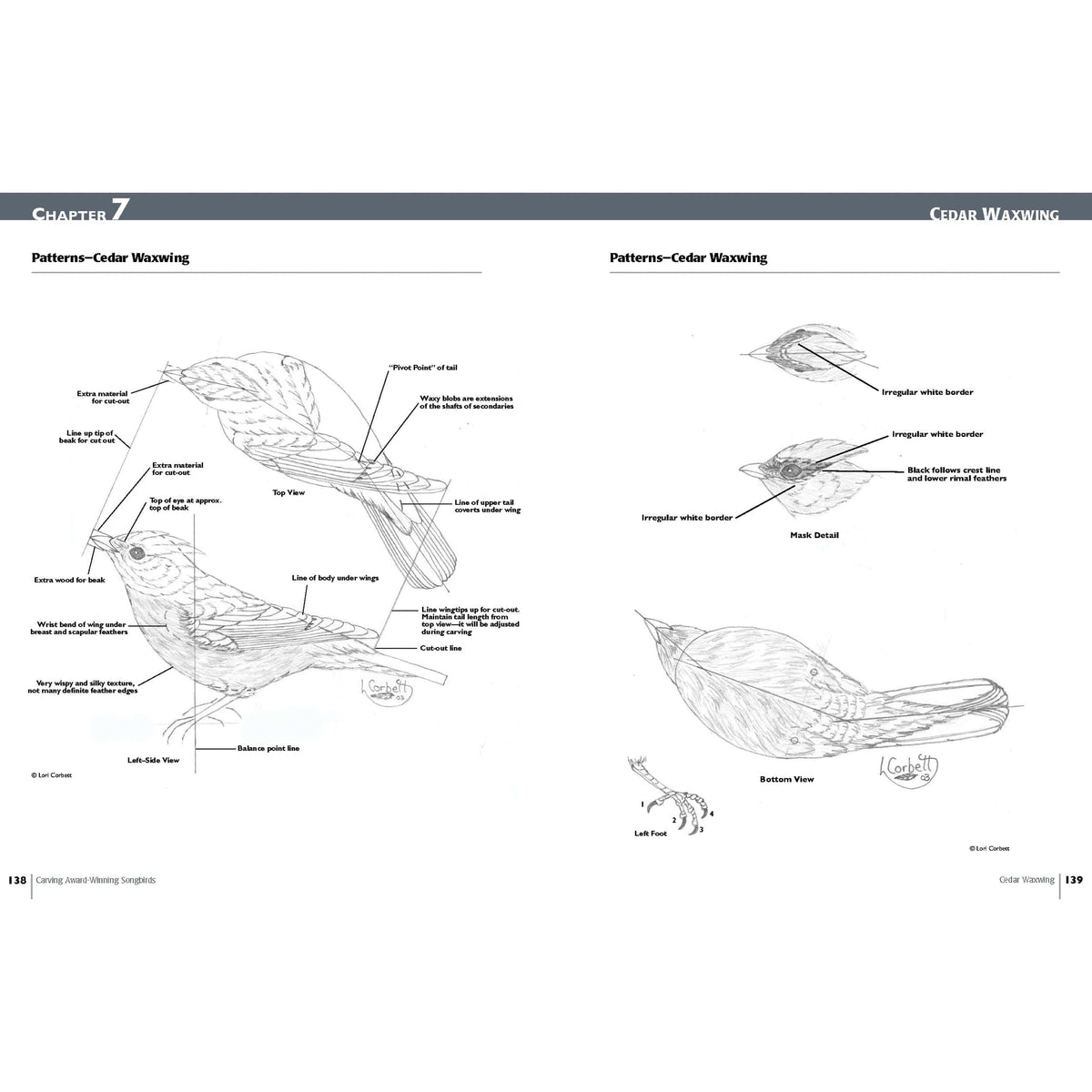 Carving Award-Winning Songbirds