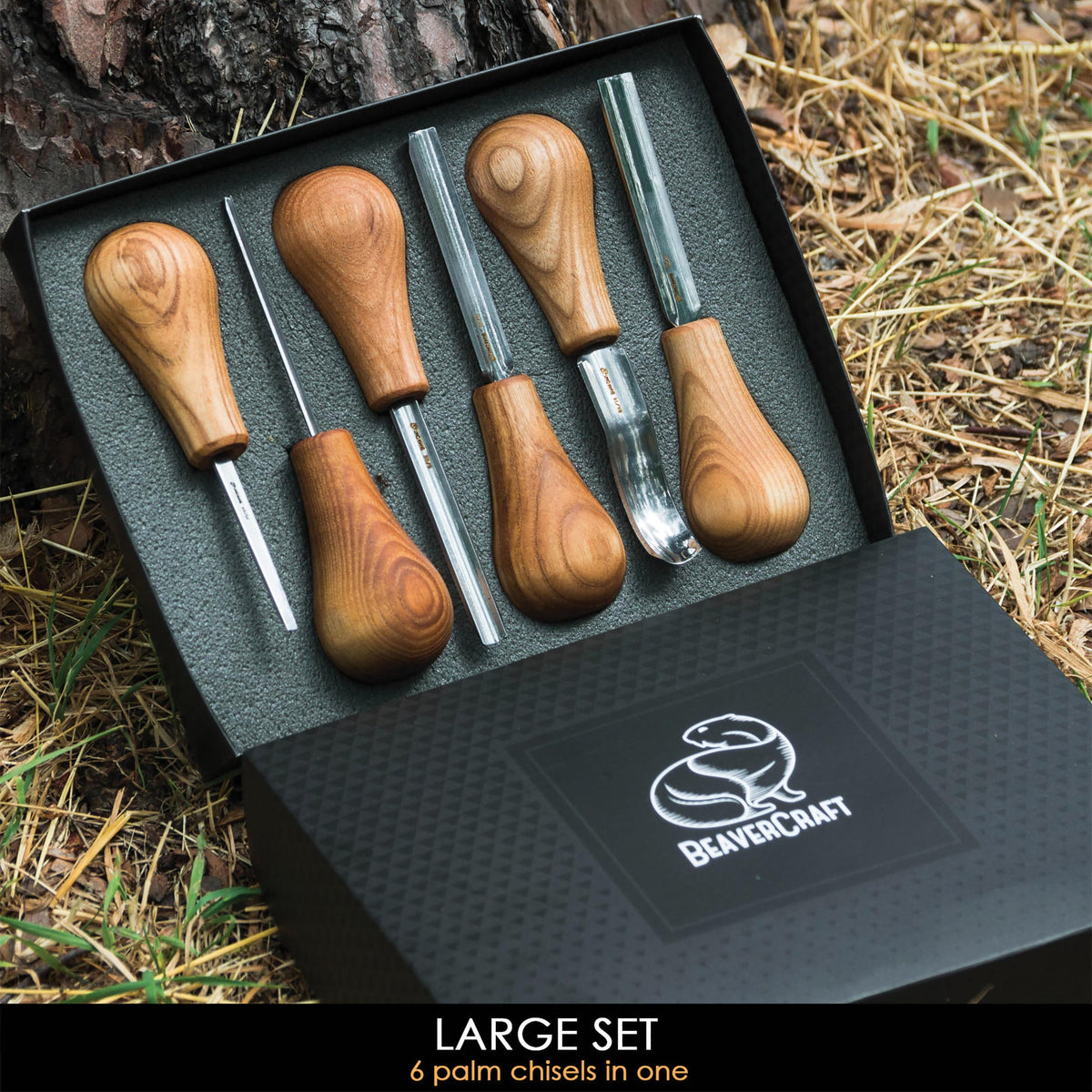 Wood Carving Palm Chisels - 6 Piece