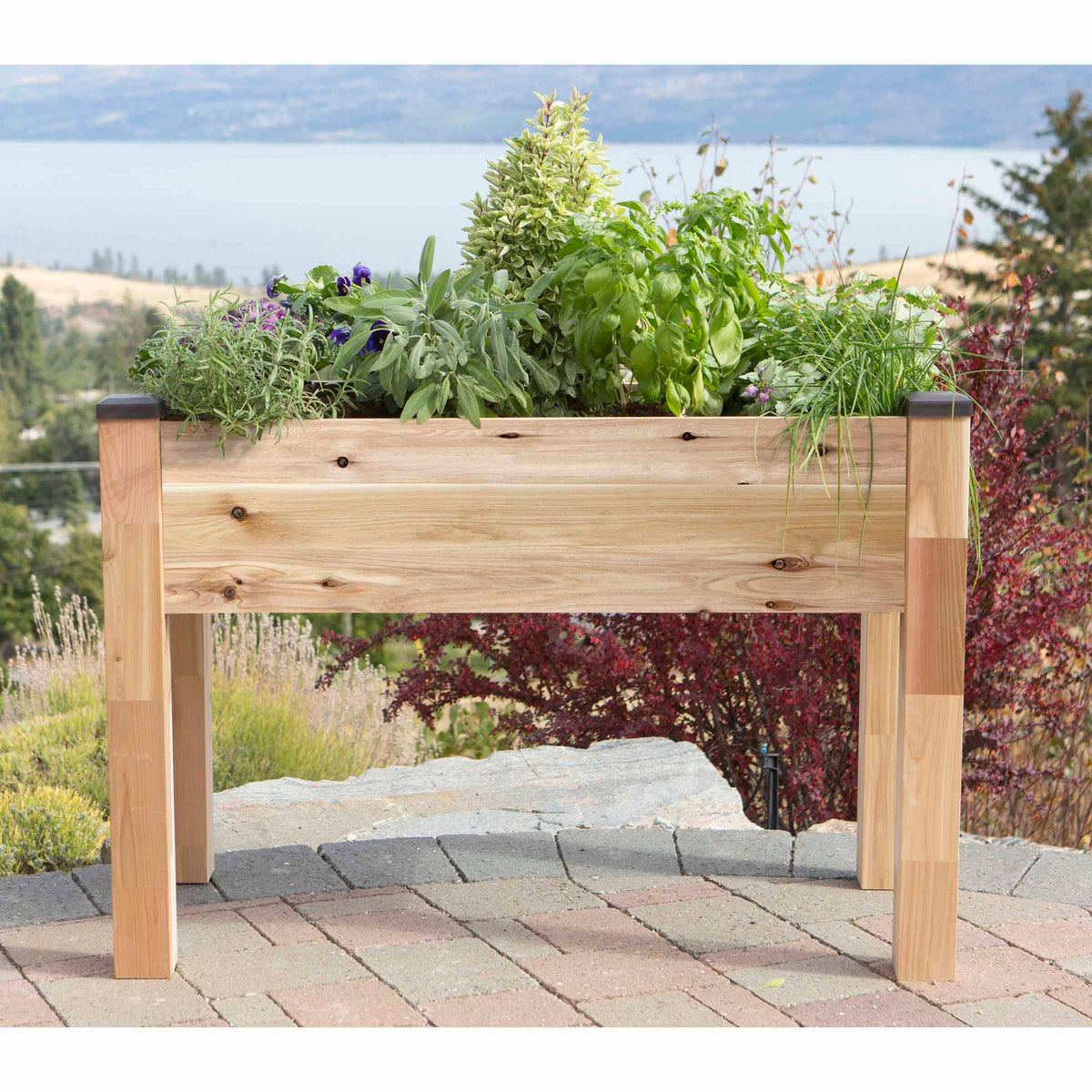Elevated Cedar Planter 34" X 49" X 30"H