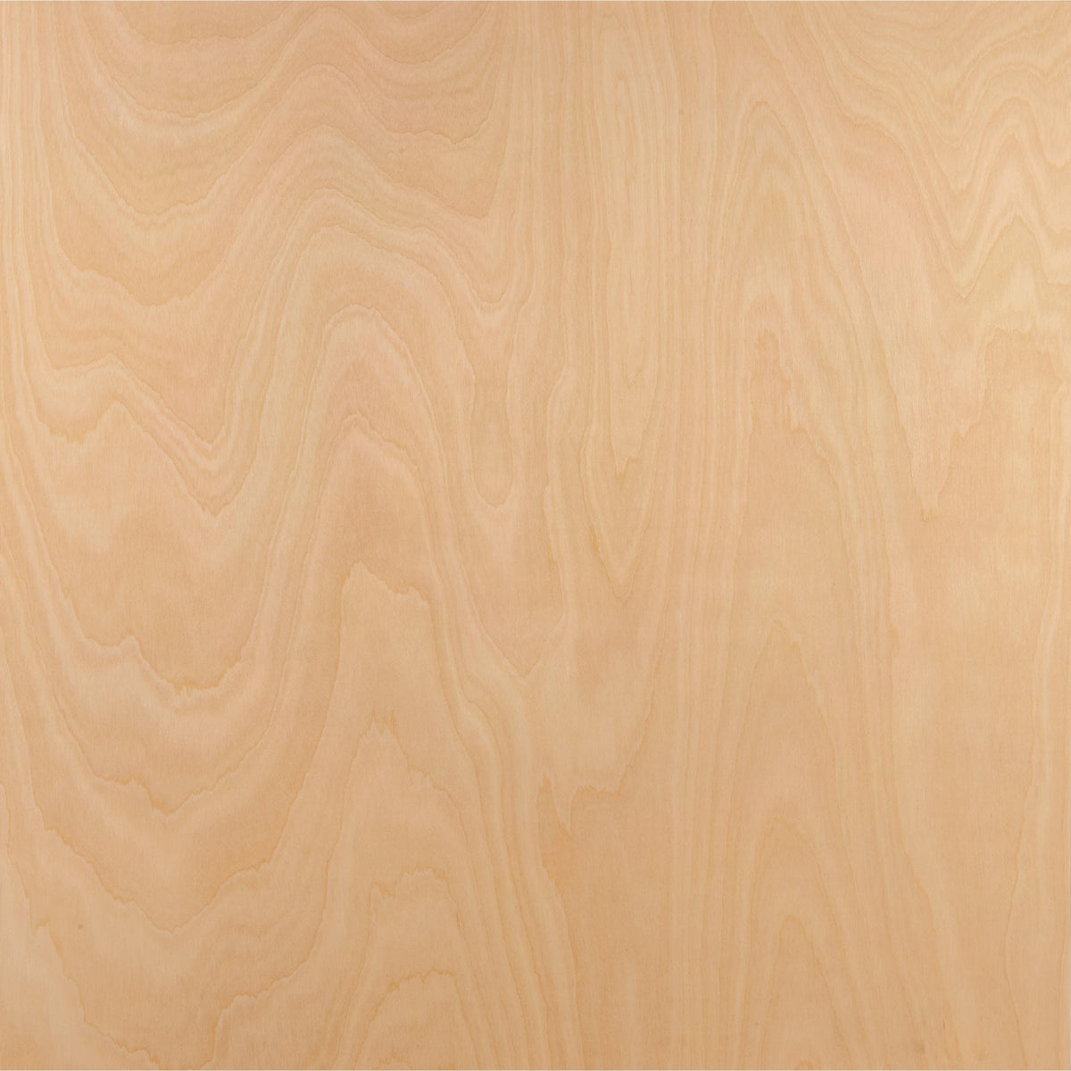 American Birch Plywood