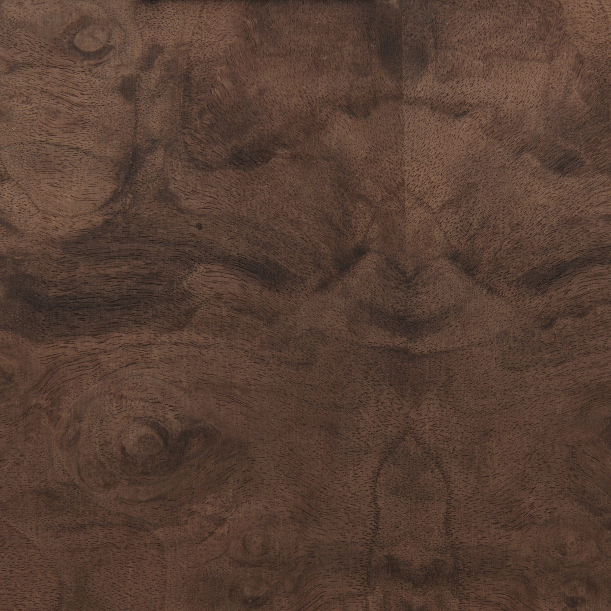 Burl Wood Veneer Sheet - 4' x 8'