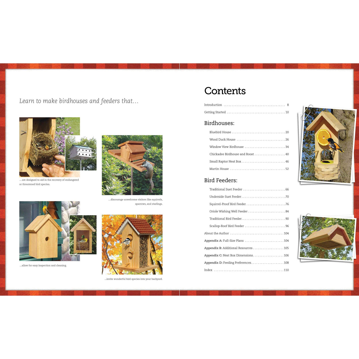 Bird-Friendly Nest Boxes and Feeders