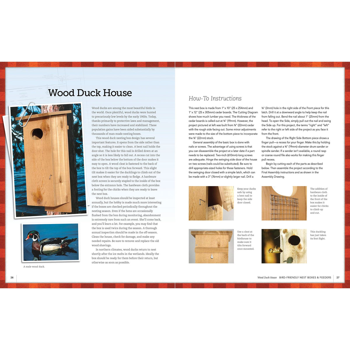 Bird-Friendly Nest Boxes and Feeders