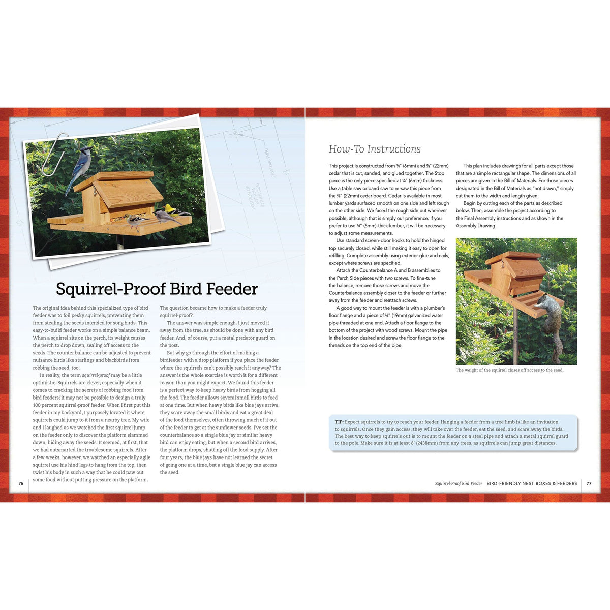 Bird-Friendly Nest Boxes and Feeders